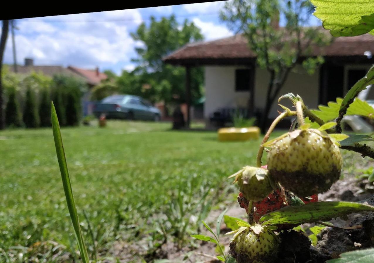 Stara Kovacnica Golubac Exterior foto